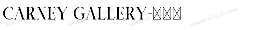 CARNEY GALLERY字体转换